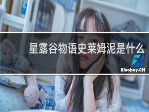 星露谷物语史莱姆泥是什么