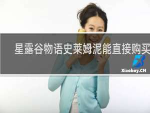 星露谷物语史莱姆泥能直接购买吗