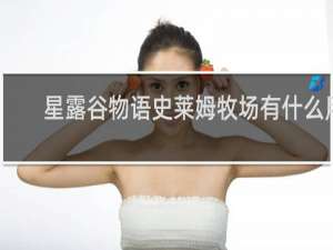 星露谷物语史莱姆牧场有什么用