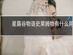 星露谷物语史莱姆物有什么用