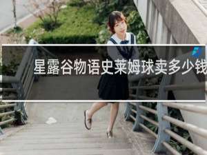 星露谷物语史莱姆球卖多少钱