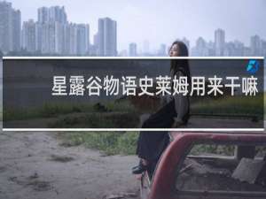 星露谷物语史莱姆用来干嘛