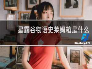 星露谷物语史莱姆箱是什么