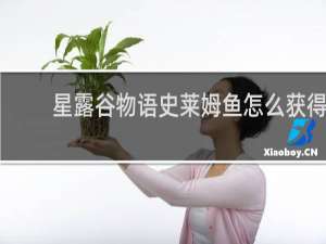 星露谷物语史莱姆鱼怎么获得