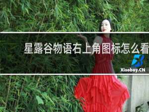 星露谷物语右上角图标怎么看