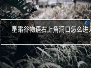 星露谷物语右上角洞口怎么进入