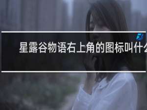 星露谷物语右上角的图标叫什么