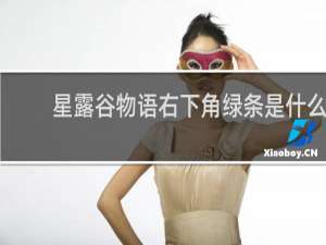 星露谷物语右下角绿条是什么