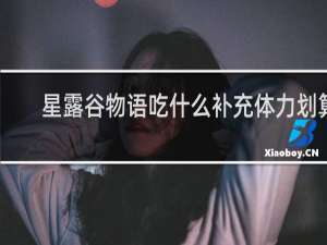 星露谷物语吃什么补充体力划算