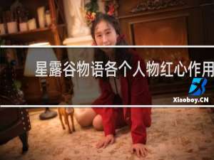 星露谷物语各个人物红心作用