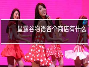 星露谷物语各个商店有什么