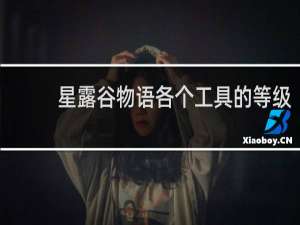 星露谷物语各个工具的等级