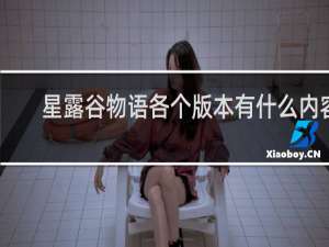 星露谷物语各个版本有什么内容