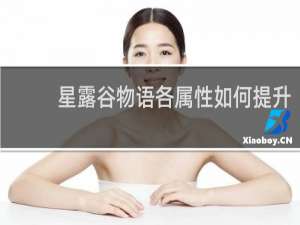 星露谷物语各属性如何提升