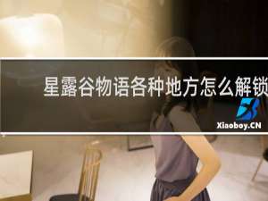 星露谷物语各种地方怎么解锁