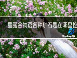 星露谷物语各种矿石是在哪里挖的