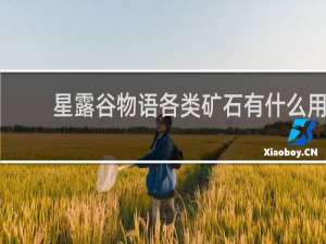 星露谷物语各类矿石有什么用