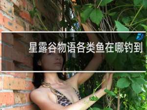 星露谷物语各类鱼在哪钓到