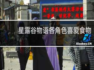 星露谷物语各角色喜爱食物