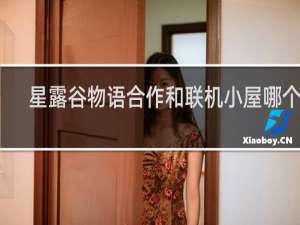 星露谷物语合作和联机小屋哪个好