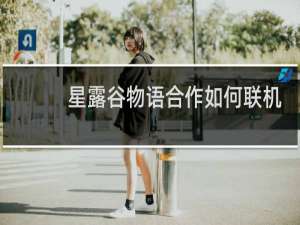 星露谷物语合作如何联机