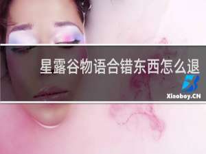 星露谷物语合错东西怎么退