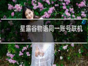 星露谷物语同一账号联机