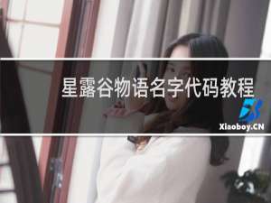星露谷物语名字代码教程