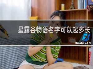 星露谷物语名字可以起多长