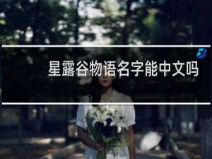 星露谷物语名字能中文吗