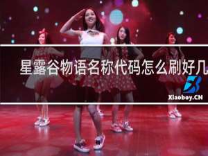 星露谷物语名称代码怎么刷好几个