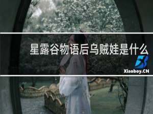 星露谷物语后乌贼娃是什么