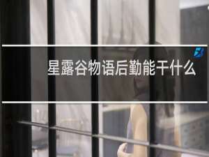 星露谷物语后勤能干什么