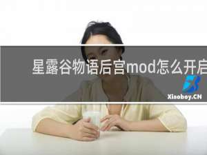 星露谷物语后宫mod怎么开启