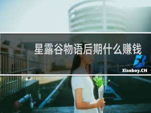 星露谷物语后期什么赚钱