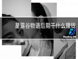 星露谷物语后期干什么赚钱