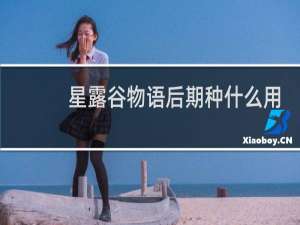 星露谷物语后期种什么用