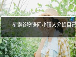 星露谷物语向小镇人介绍自己