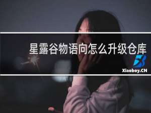 星露谷物语向怎么升级仓库