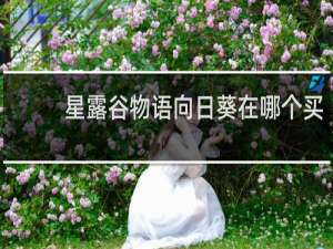 星露谷物语向日葵在哪个买