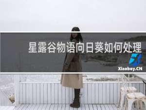 星露谷物语向日葵如何处理