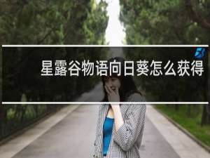 星露谷物语向日葵怎么获得