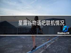 星露谷物语吧联机情况