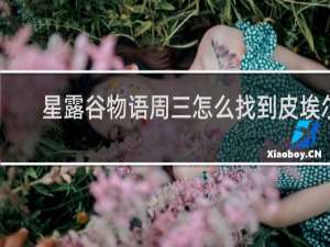 星露谷物语周三怎么找到皮埃尔