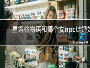 星露谷物语和哪个女npc结婚好