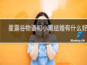 星露谷物语和小黑结婚有什么好处