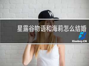 星露谷物语和海莉怎么结婚