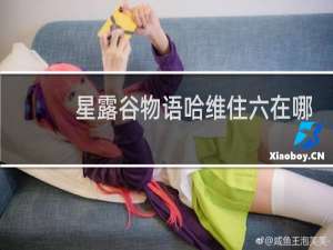 星露谷物语哈维住六在哪