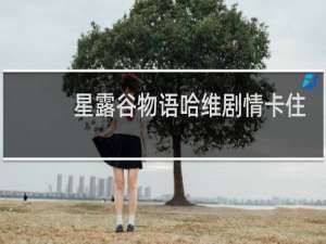 星露谷物语哈维剧情卡住