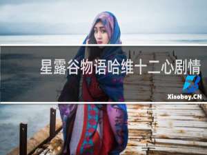 星露谷物语哈维十二心剧情